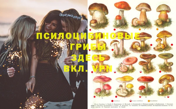 MDMA Белоозёрский