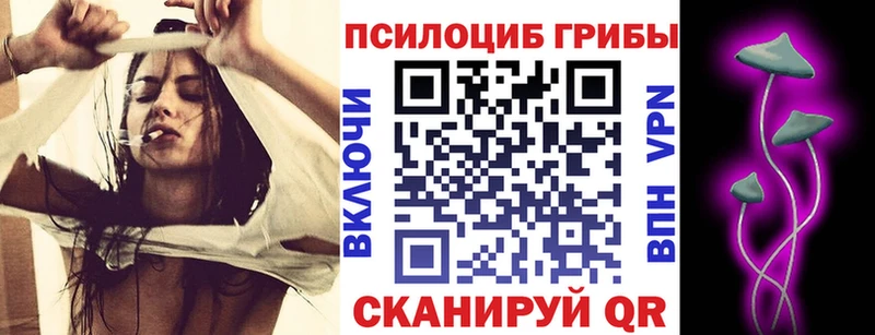 продажа наркотиков  Бородино  Галлюциногенные грибы MAGIC MUSHROOMS 